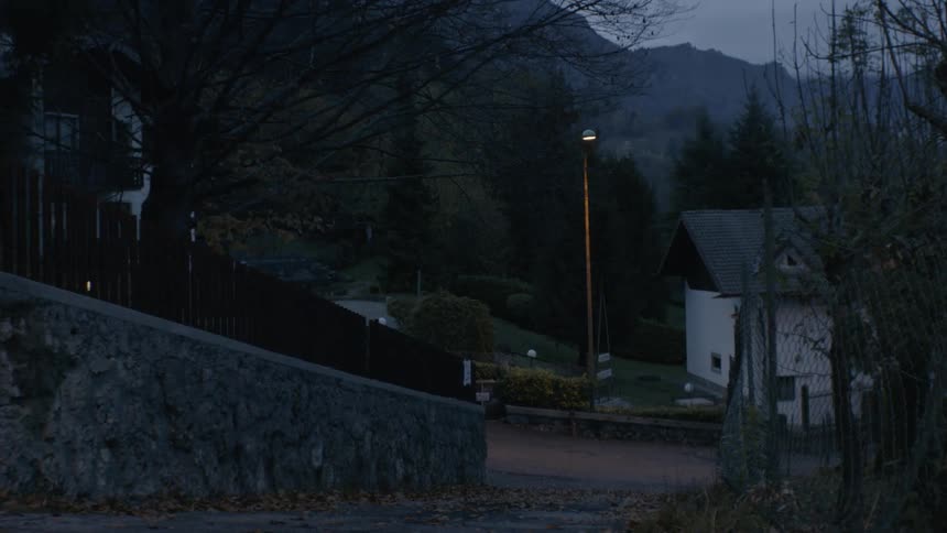 A street lamp is shining in a rural town at dusk