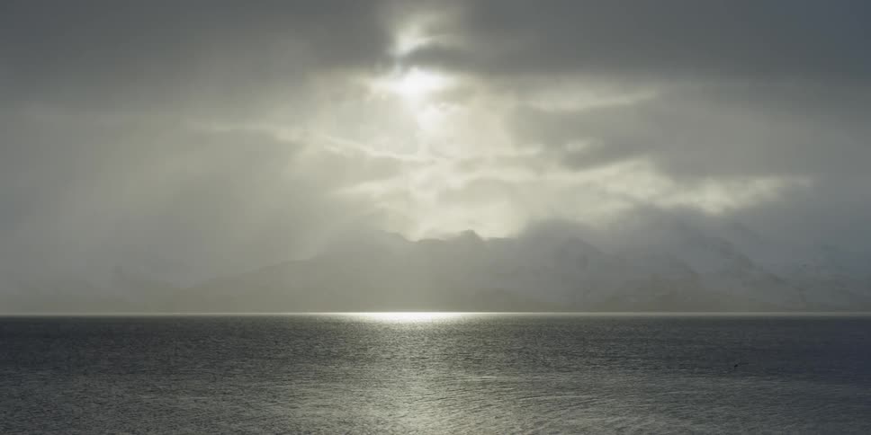 A bird flies over an ocean