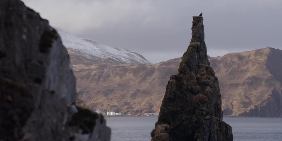 An eagle is perching on a rock formation in the ocean on a cloudy day