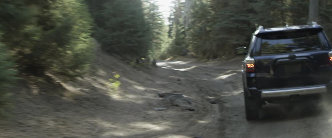 A vehicle drives on a forest road