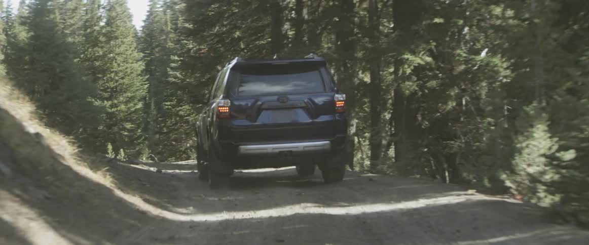 Vehicle drives on a forest road