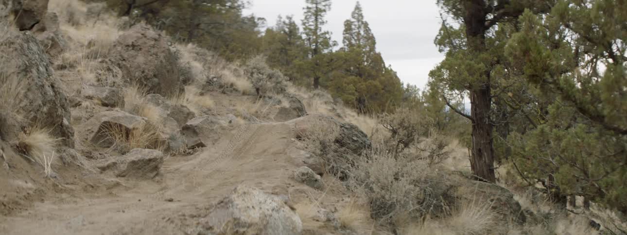Mountain biker goes over a jump in the mountains