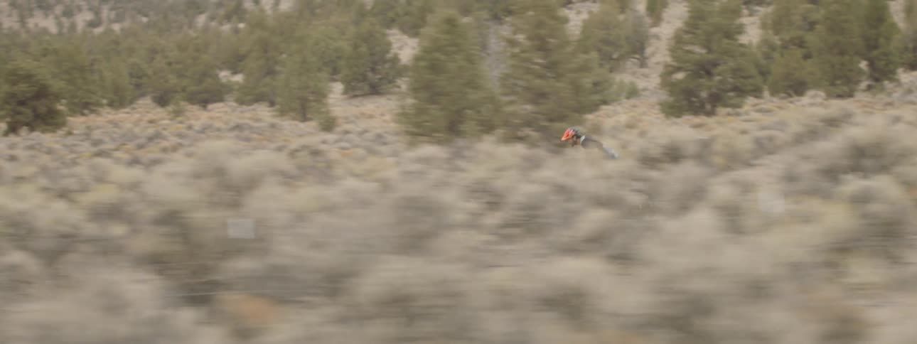A man is racing his mountain bike down the trail