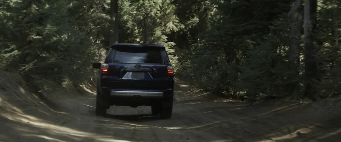 A vehicle drives through a forest