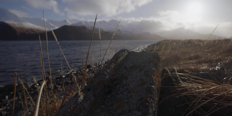 Wind blows tall grass by the water