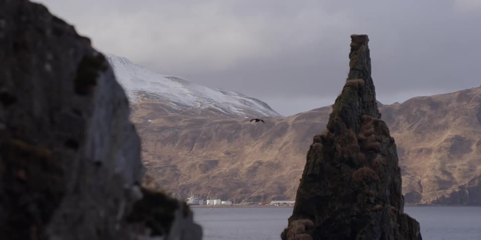 An eagle flies off of a tall rock in the water