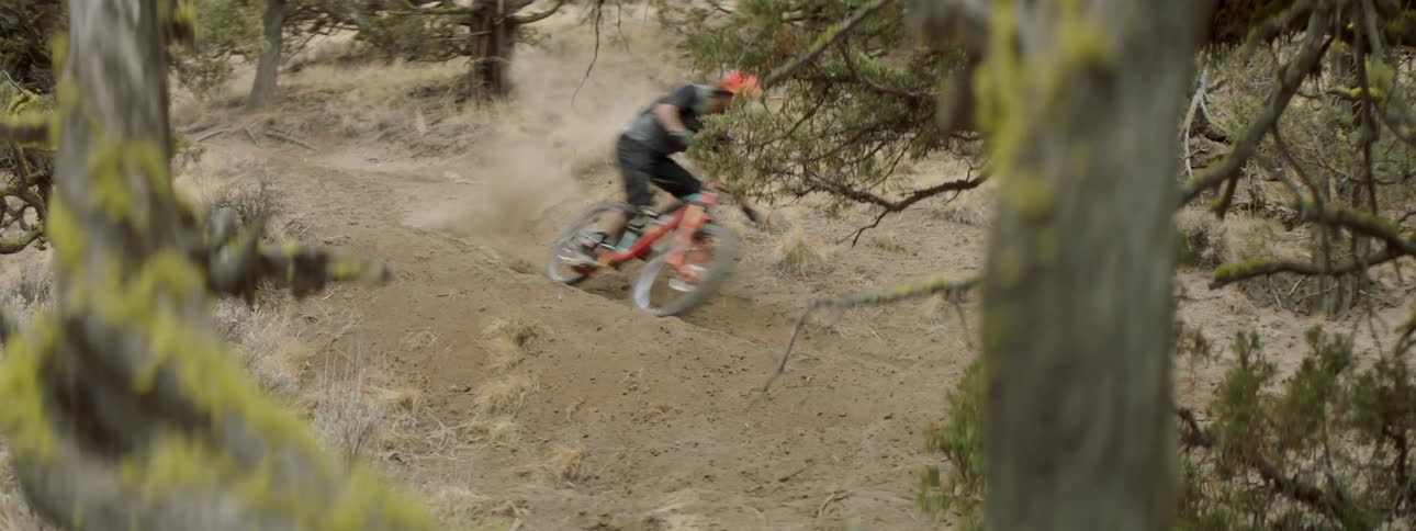 Bicyclist rides over dirt in a forest