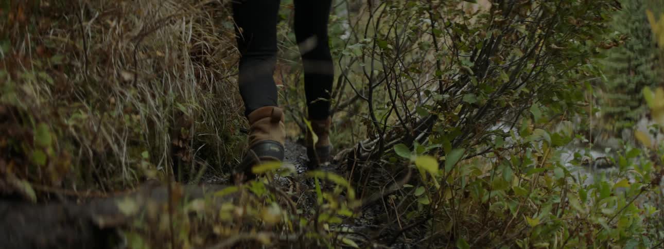 A person is wading through some tall bushes