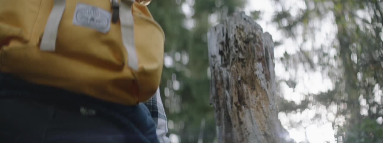 Person wearing a backpack hikes in the woods