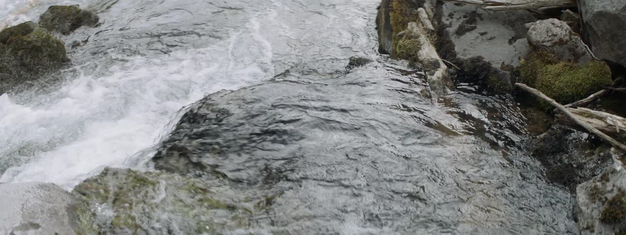 A stream has a small waterfall
