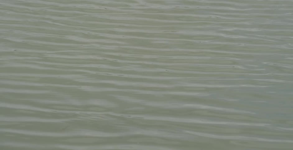 Water with small ripples running across