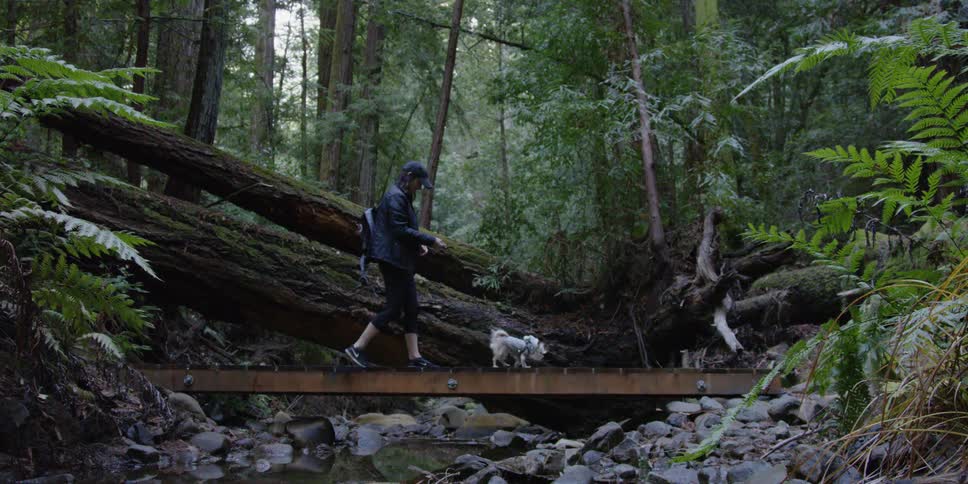 A woman and dog walk in a forest