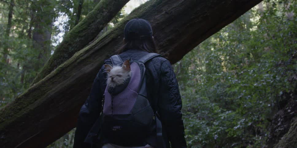 A woman carries her dog in her backpack as she walks in the woods