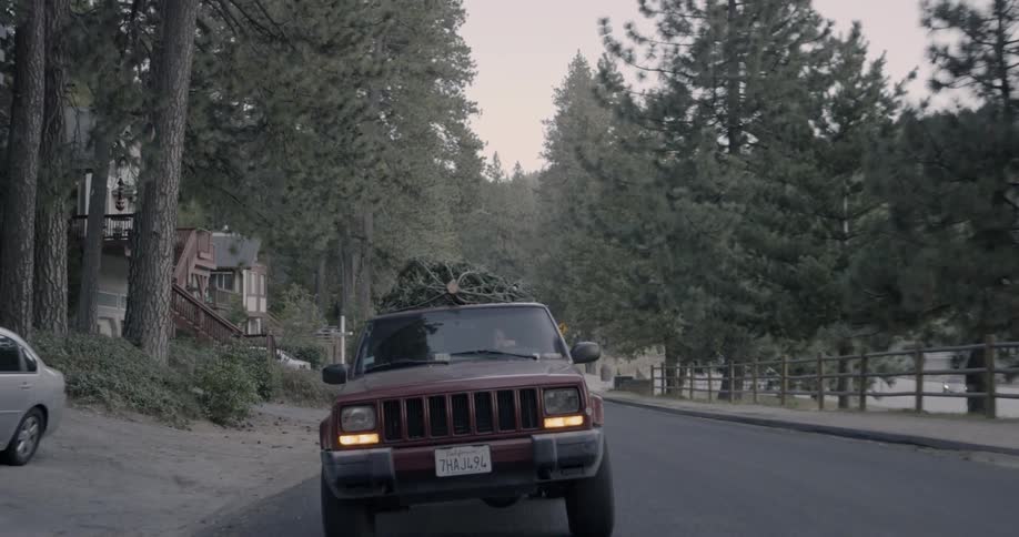 A red jeep has a christmas tree tied to the roof and is driving through a wooded area