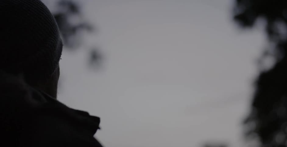 A man stands in a forest at dusk