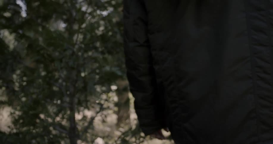 Person hikes through the woods