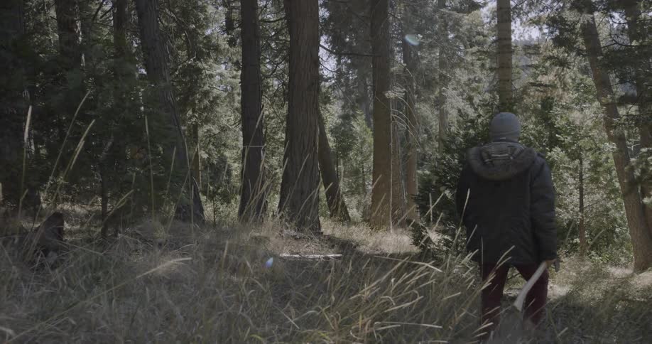 A man carrying an axe is walking in the forest