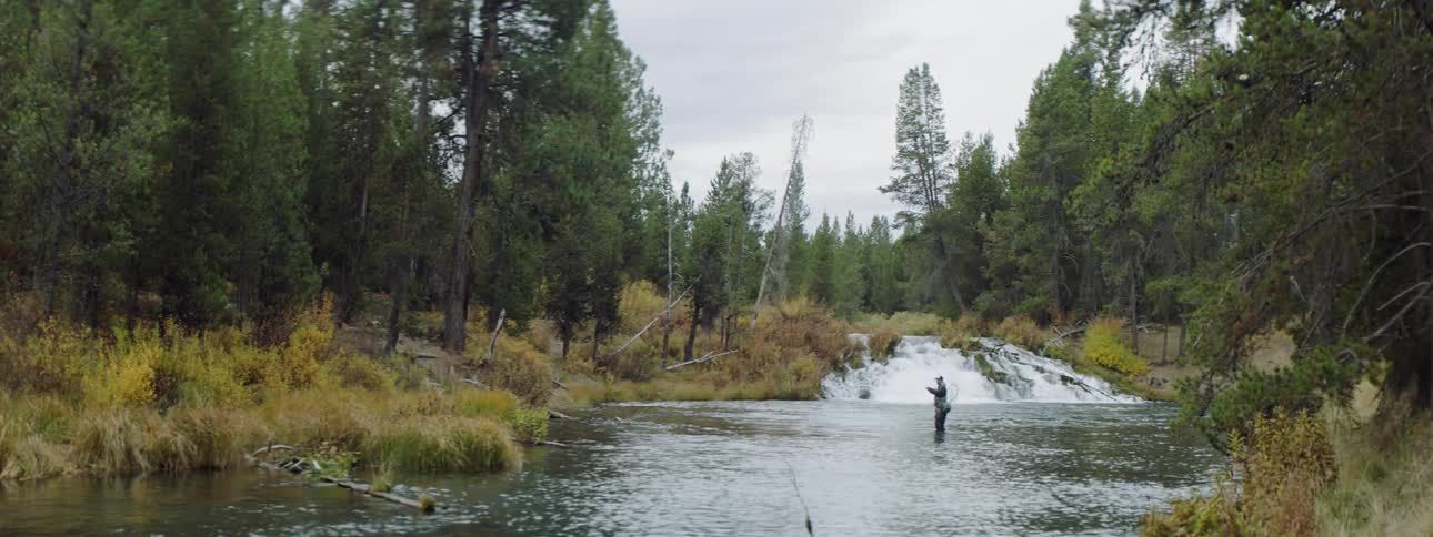 A fisherman stands in a forest river