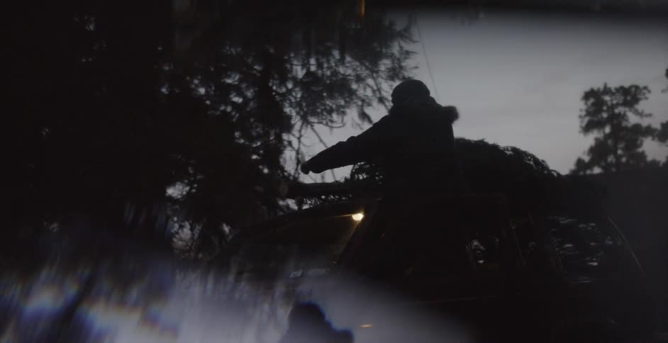 Man straps a pine tree to the roof of a car