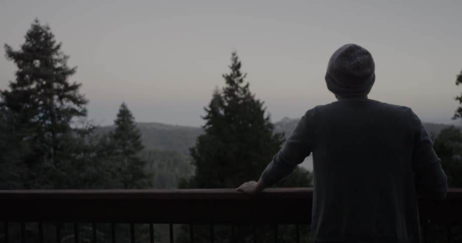 A man stands on a balcony overlooking a forest