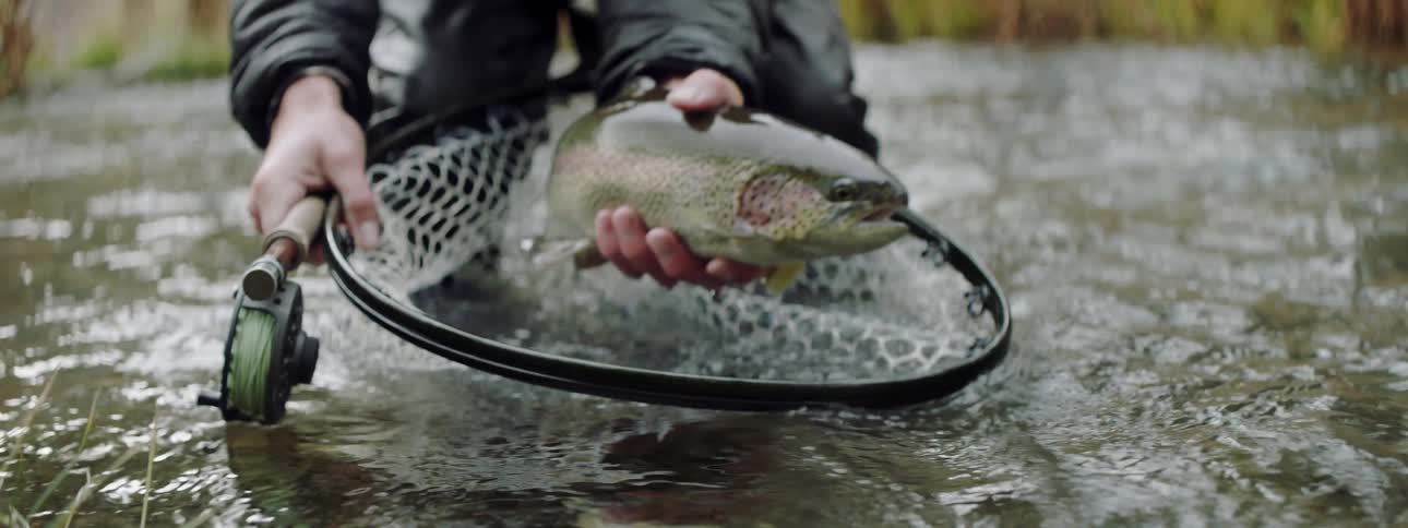 A fisherman removes a fish from a net