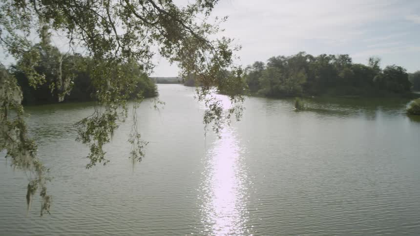 Water ripples on a rural lake