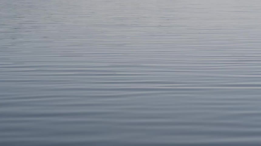Water ripples on a lake