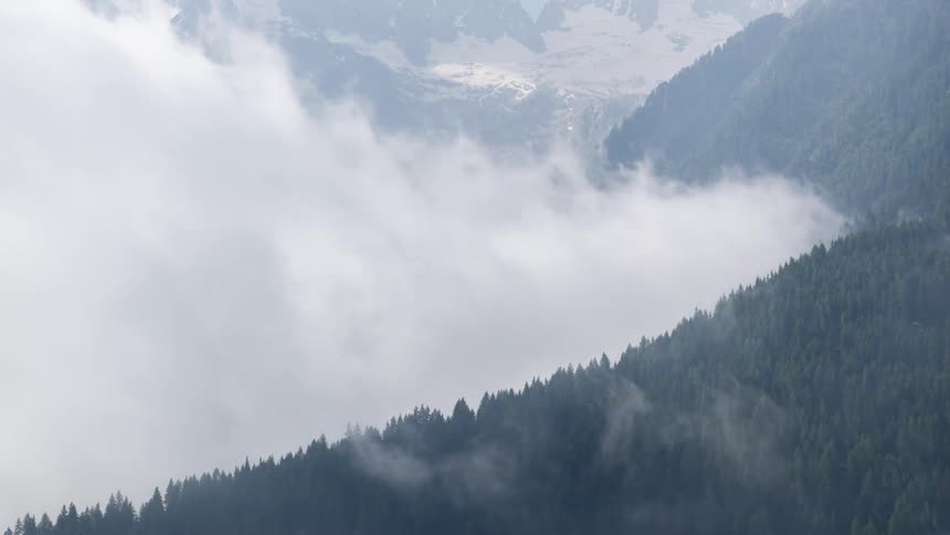 Fog swirls above a forest