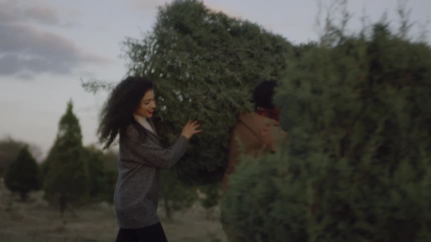 A man and woman pick out and carry a cut christmas tree