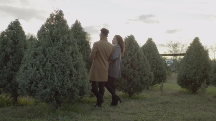 Man and woman holding arms walk towards pine trees