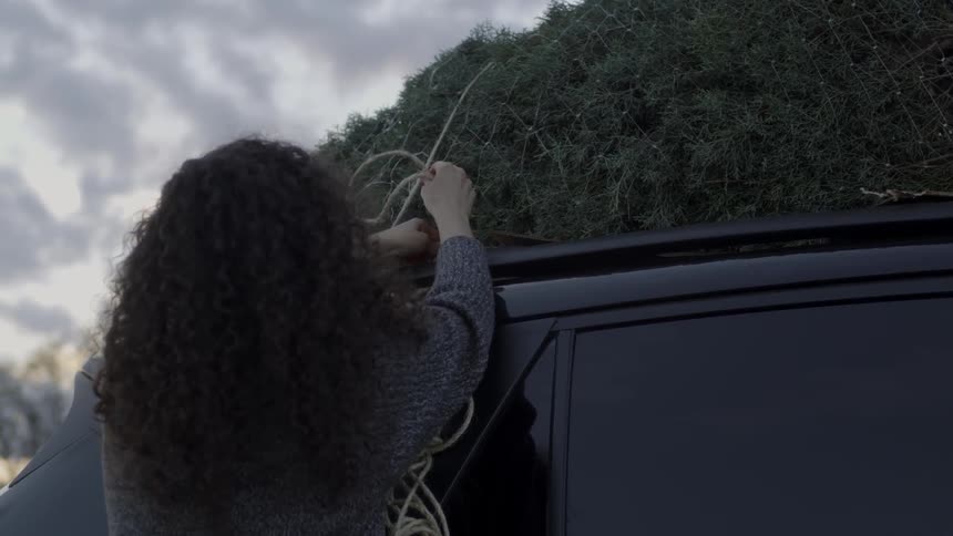 Woman ties a pine tree to a car roof