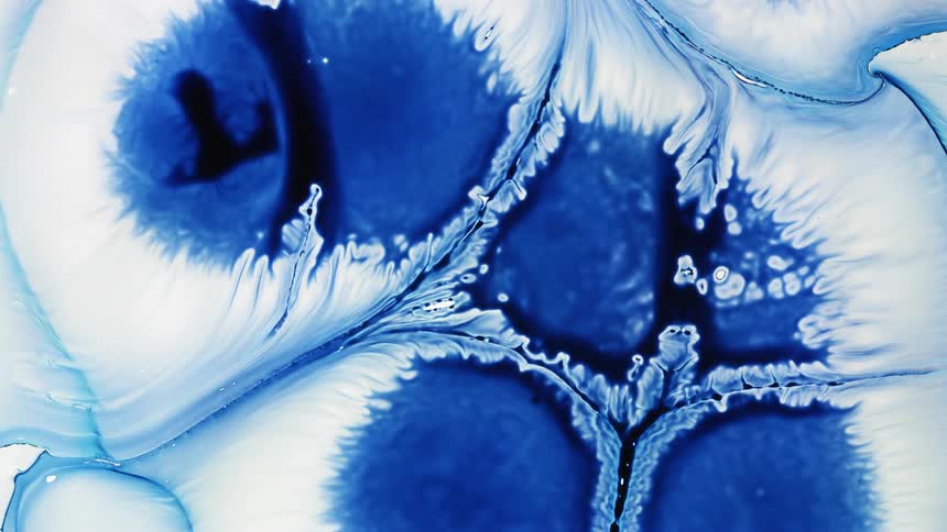 Blue cells come together and merge and swirl