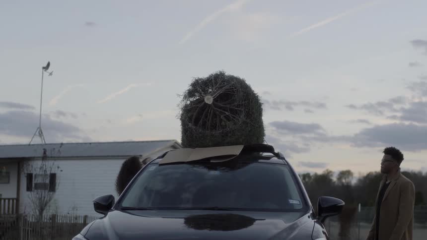 Couple looking at the christmas tree tied down to the roof of their vehicle