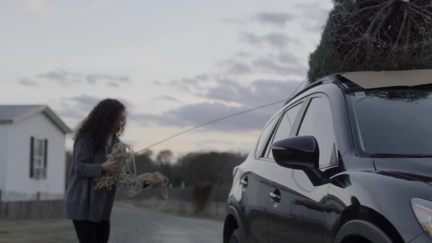 Woman secures pine tree to the top of a vehicle with rope