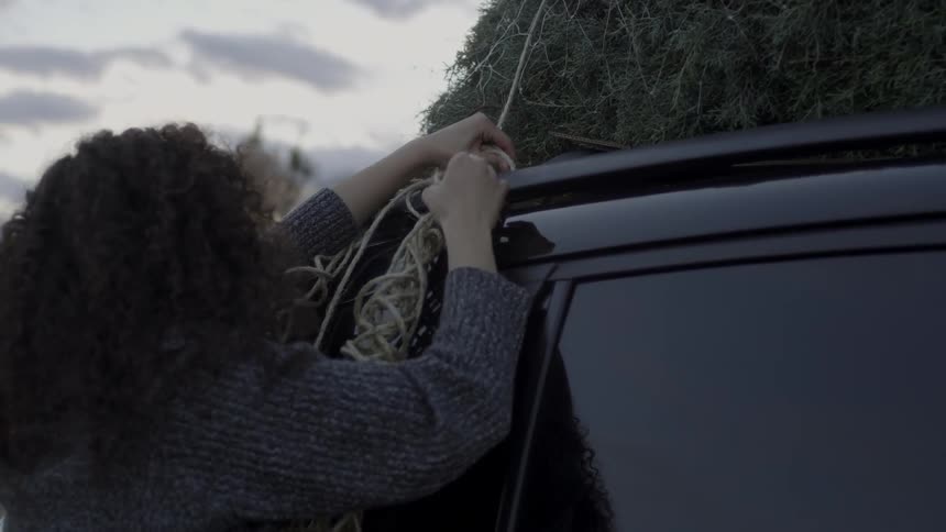 A woman ties a christmas tree to the roof of a truck