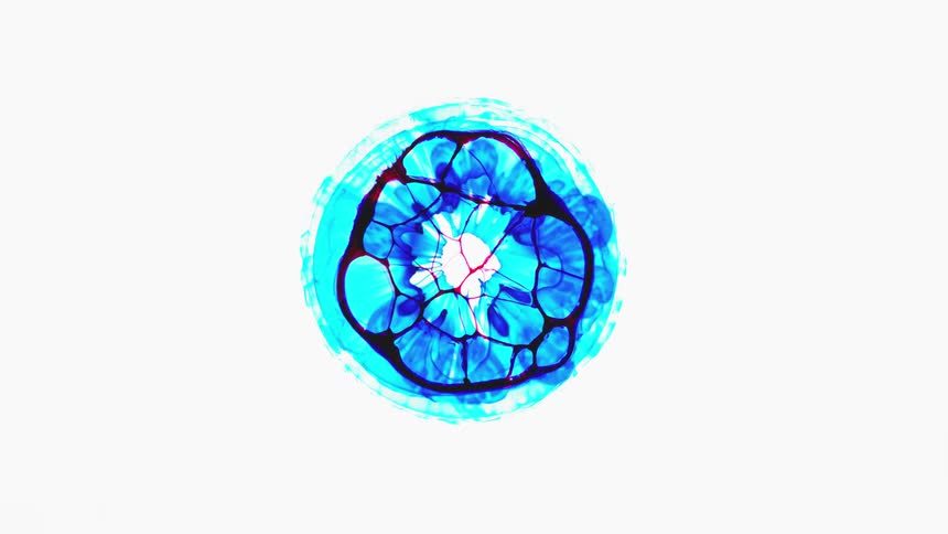 Multi-colored liquid plumes into shapes and different colors