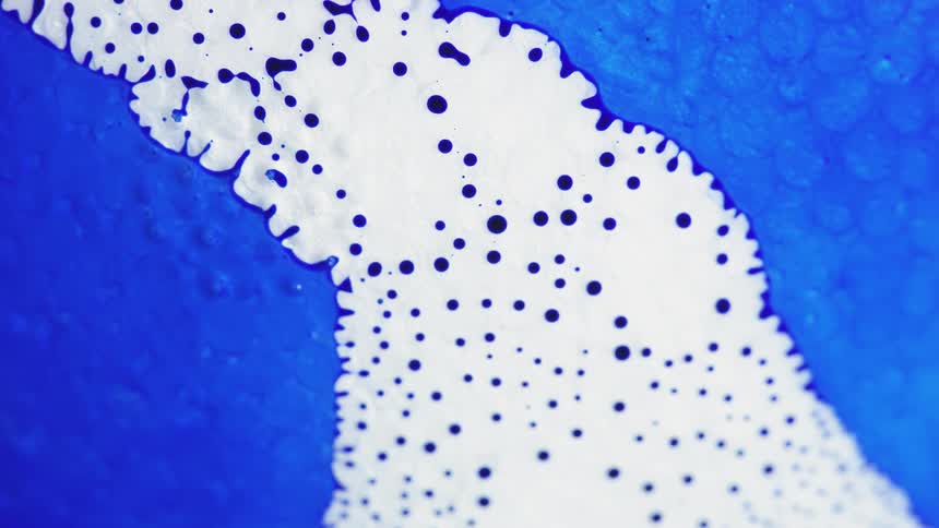 White liquid plumes and engulfs blue liquid