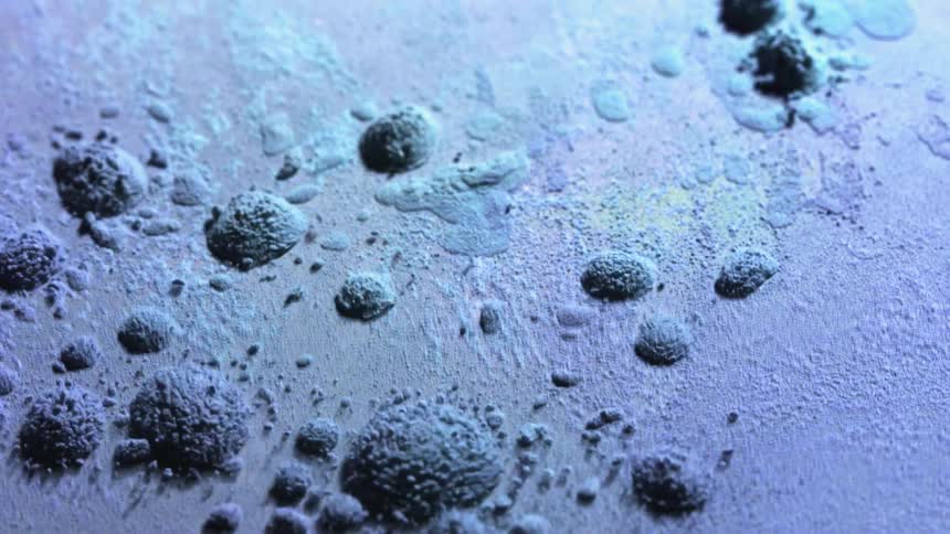 Granules gathered in circles vibrate and shake