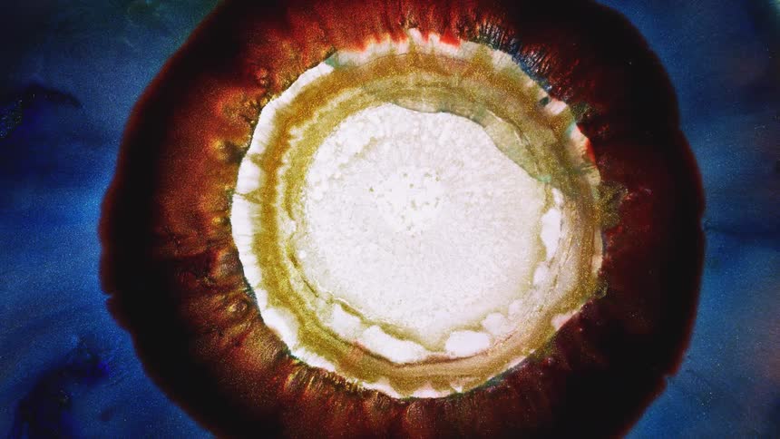 Abstract video of colors swirling into the shape of an iris