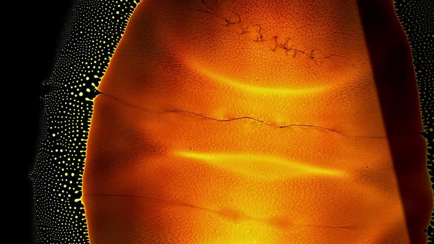 Orange neon ink creates a chemical pattern and emits microscopic dots