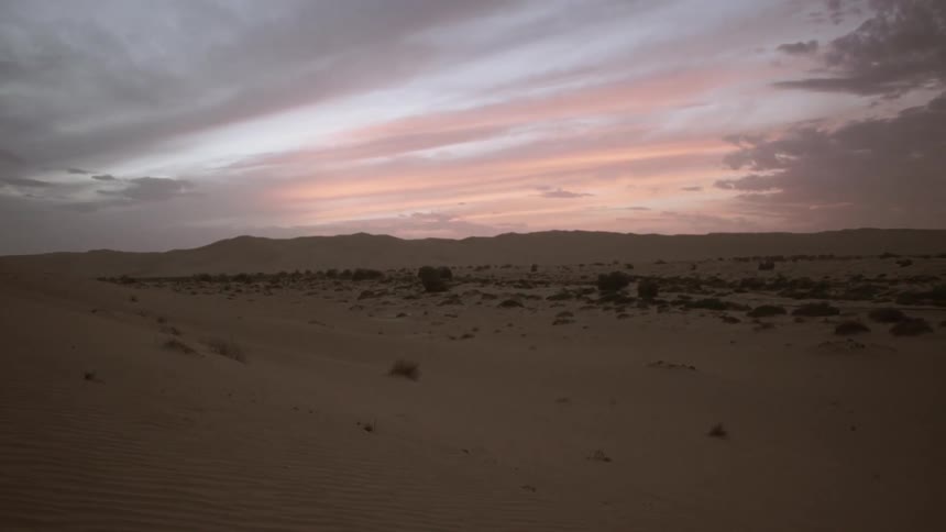 Sand covers the desert landscape
