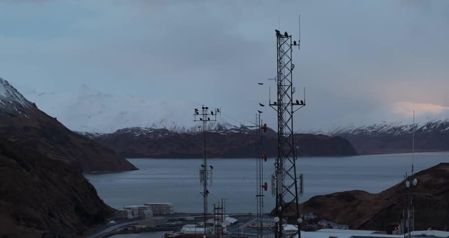 Eagles fly around and perch on electrical towers near mountains and ocean