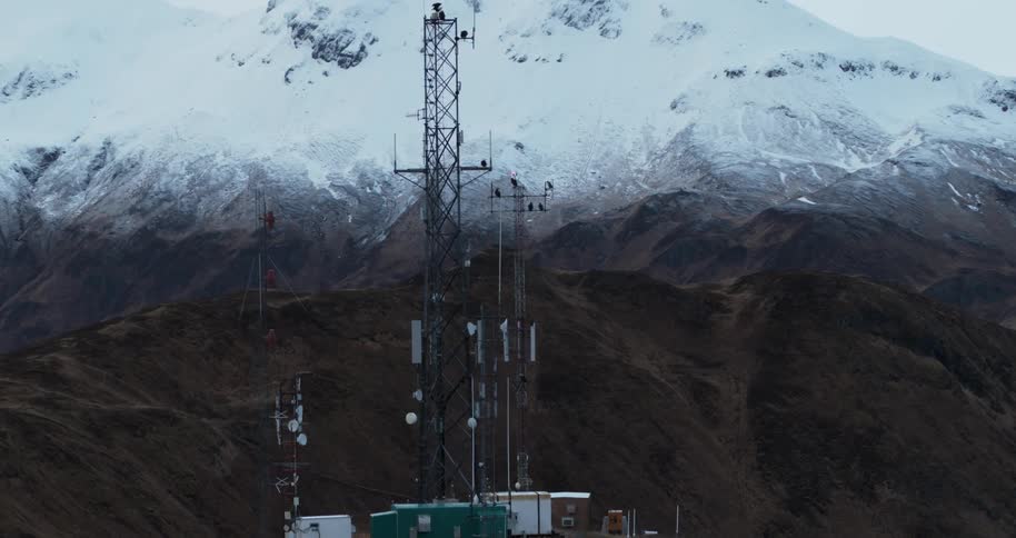 A bird lands and perches on top of a tower antenna on a hilltop