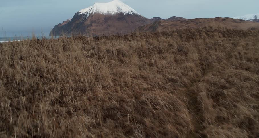 Waves are crashing onto a beach near a snow-capped mountain