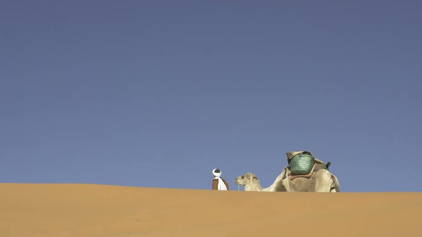 A man is leading a camel through sand dunes in the desert during the day