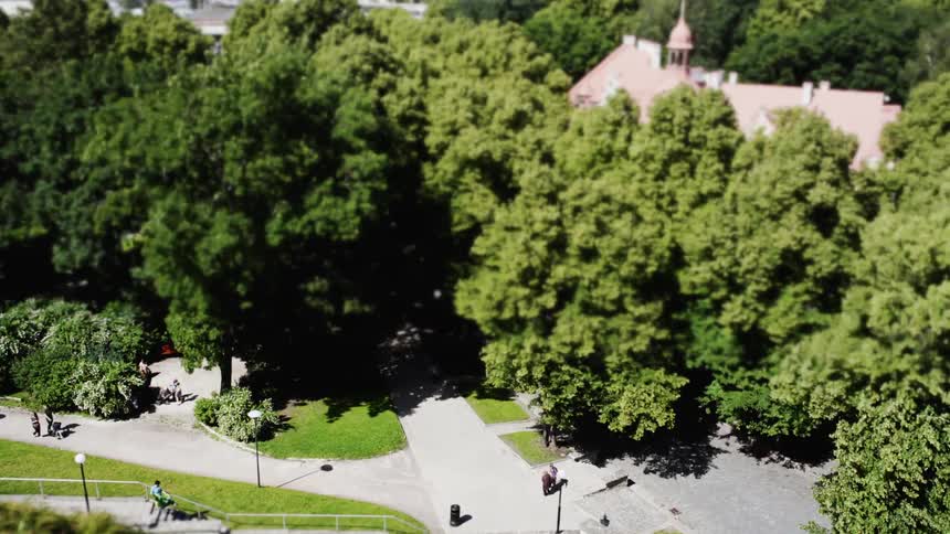 People moving through a parklike area on a bright day