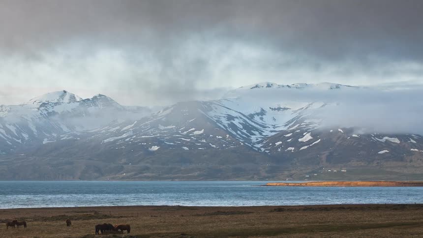 Animals graze on land by flowing waters