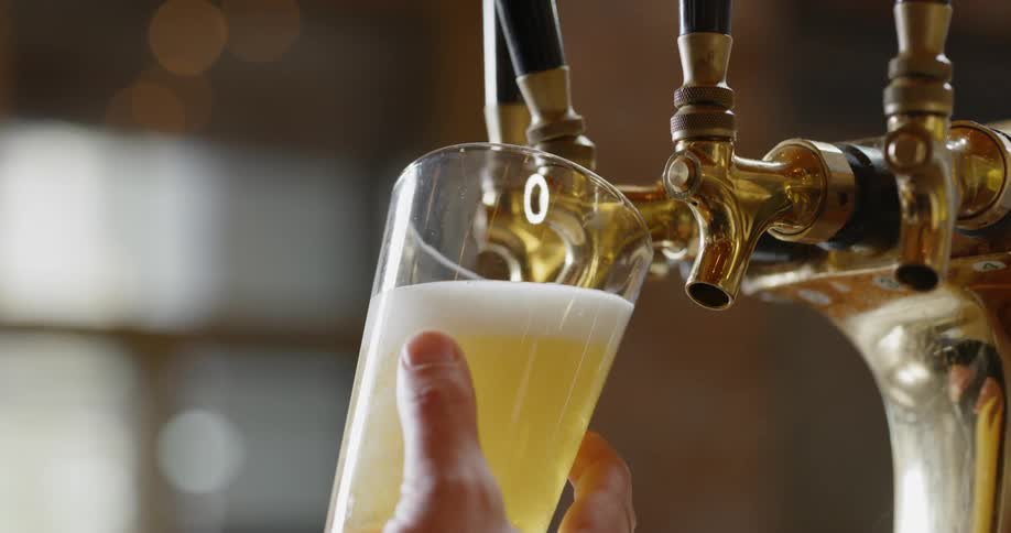 A bartender holds a glass under the tap and fills it with beer