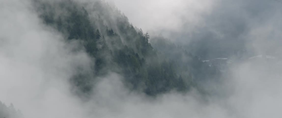 Mist floats around mountains trees