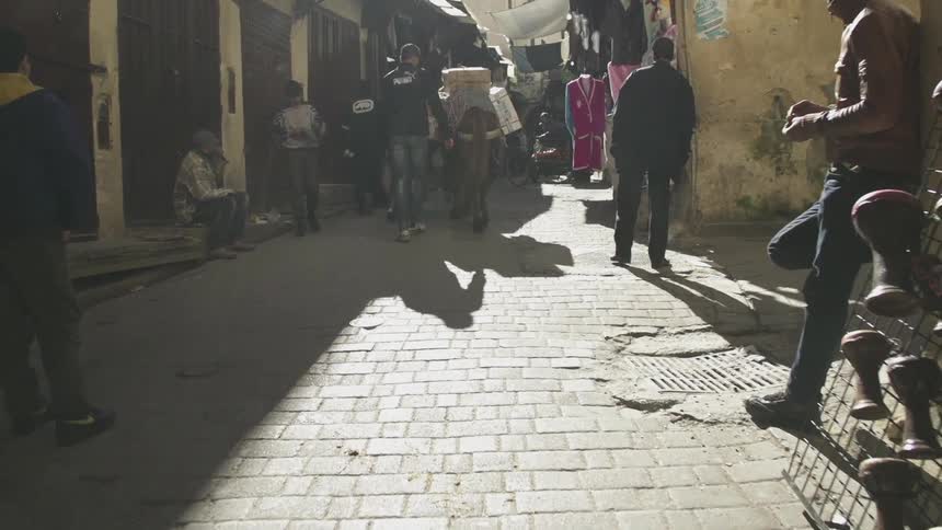 People gathered and others walking down a city street and a mule is with one of them